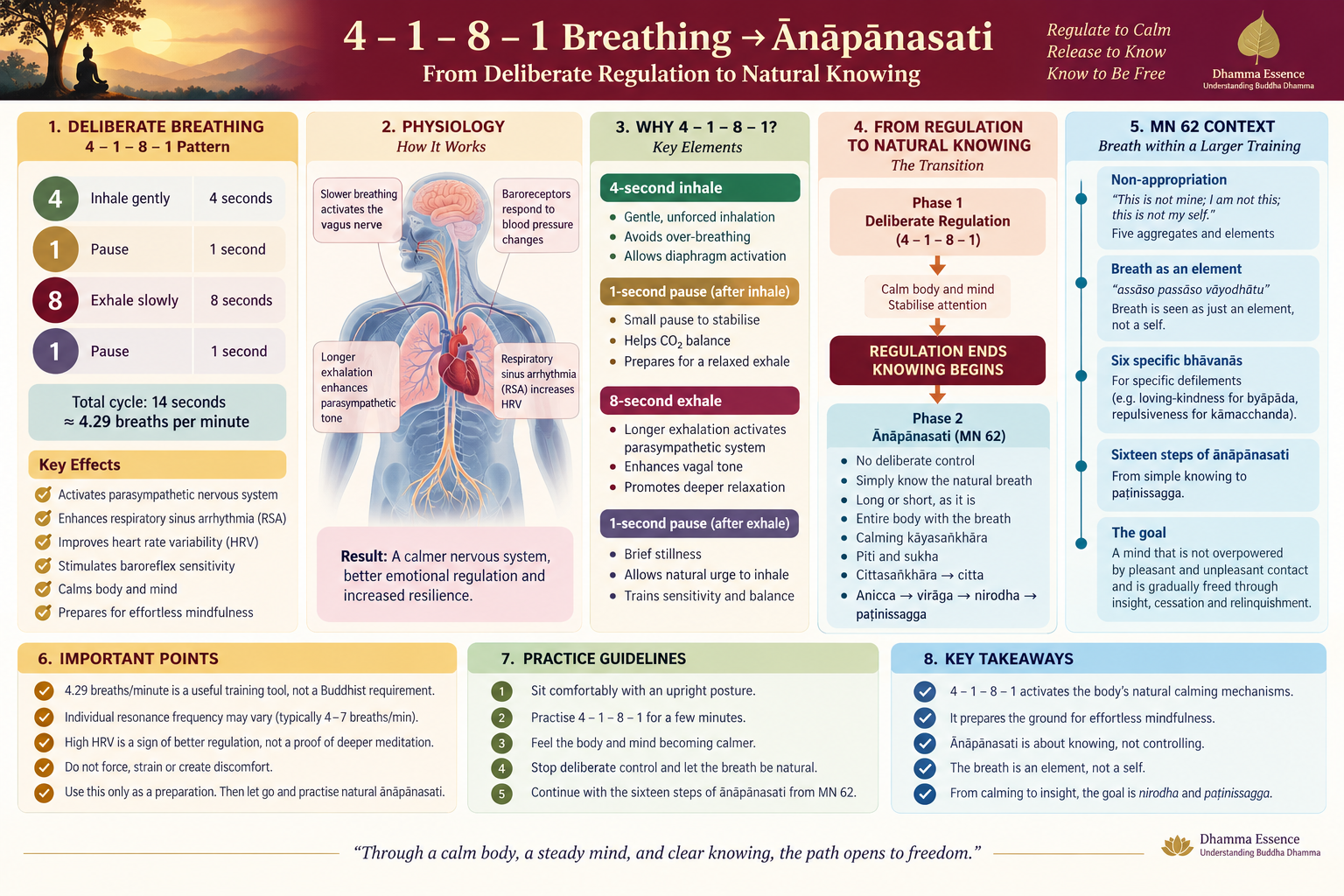 4–1–8–1 breathing to Ānāpānasati — from deliberate regulation through physiology, natural knowing and the MN 62 training